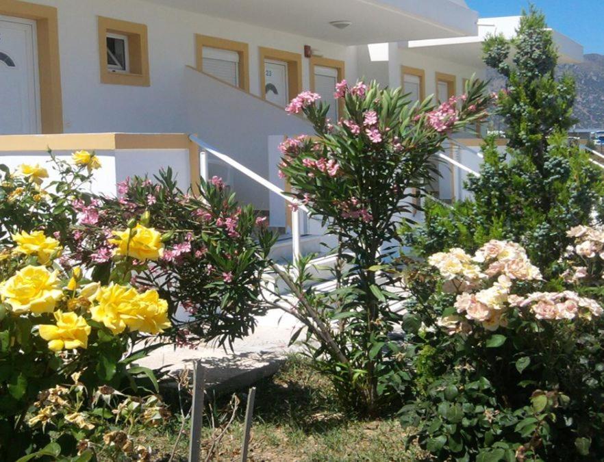 Kardamena  Nikos 2 Studios & Apartments الغرفة الصورة
