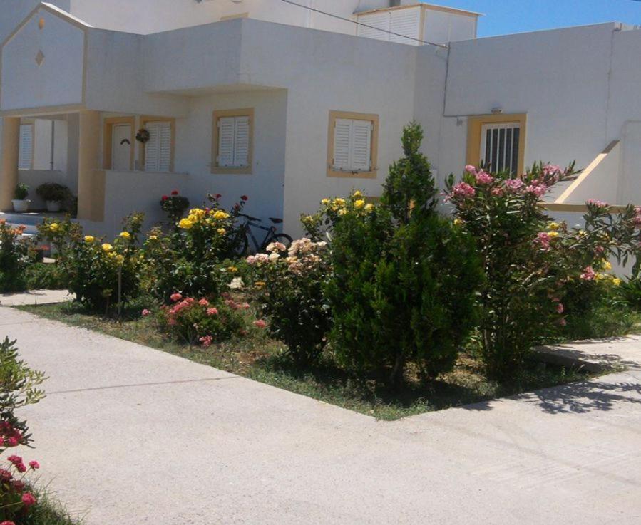 Kardamena  Nikos 2 Studios & Apartments المظهر الخارجي الصورة